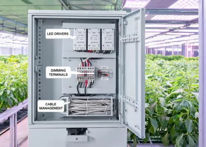 Horticultural LED driver cabinet